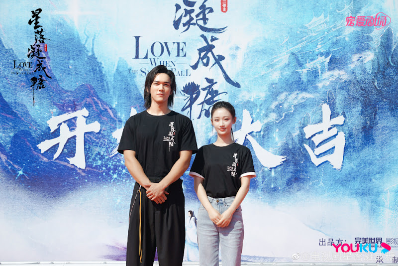 The Starry Love / Love When the Stars Fall China Drama